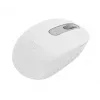 Logitech M196 belaidė optinė pelė