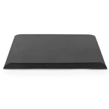 Kepimo skarda Salter BW12560EU7 32 cm neprideganti anglinio plieno