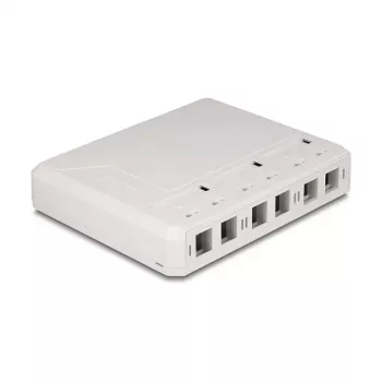 DeLOCK 67052 Keystone paviršinio montavimo dėžutė šviesolaidžio moduliams, 6 prievadų, balta