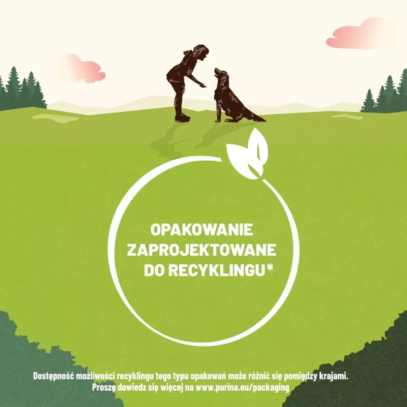 PURINA Adventuros Training salmon - šunų skanėstas - 40g