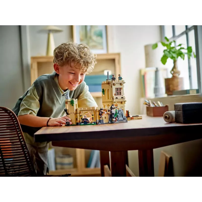LEGO HARRY POTTER 76447 Hoguarto pilis: Skrydžio pamokos