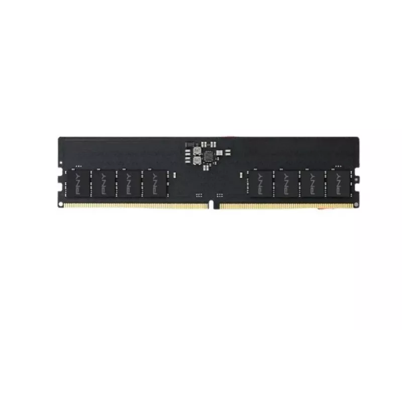 Pny MD16GSD55600-BLK atminties modulis