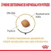 Sausas šunų maistas Royal Canin Pomeranian Adult 3 kg — mažų veislių formulė suaugusiems Pomeranijos špicams