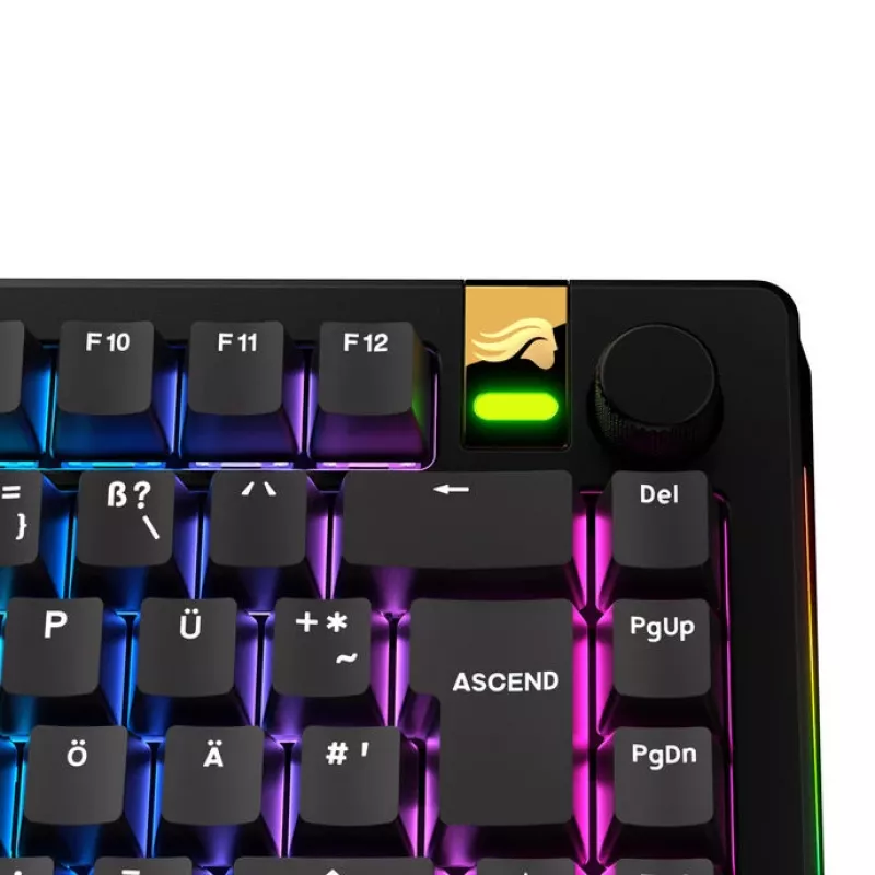 Klavišų dangteliai GLORIOUS GPBT Basics — PBT klavišų dangtelių rinkinys, DE ISO išdėstymas, juoda
