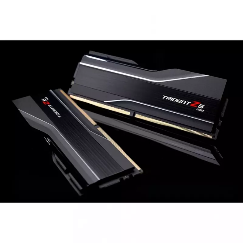 G.SKILL DDR5 atminties modulis 64 GB (2 x 32 GB) 6000 MHz CL30 288 kontaktų DIMM 1,4 V EXPO/XMP 3.0 su aušintuvu