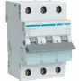 Hager MBN310. Kintamosios srovės įėjimo dažnis: 50/60 Hz, Nominali išėjimo srovė: 10 A (MBN310)