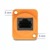 DeLOCK tinklo kabelis 90804 0,3 m Cat5e U/UTP RJ-45 Juoda Oranžinė