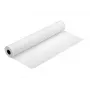 Epson Photo Paper Gloss C13S041892 17 colių x 30,5 m 250 g/m²