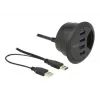 USB šakotuvas DeLOCK 62868