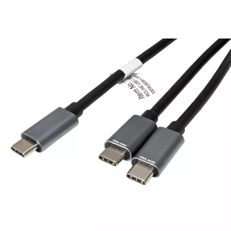 ROLINE - USB kabelis - 24 kontaktų USB-C (V) į 24 kontaktų USB-C (V) - USB 2.0 - 1,85 m - USB maitinimo šaltinis (100 W) - juoda (11.02.8308)