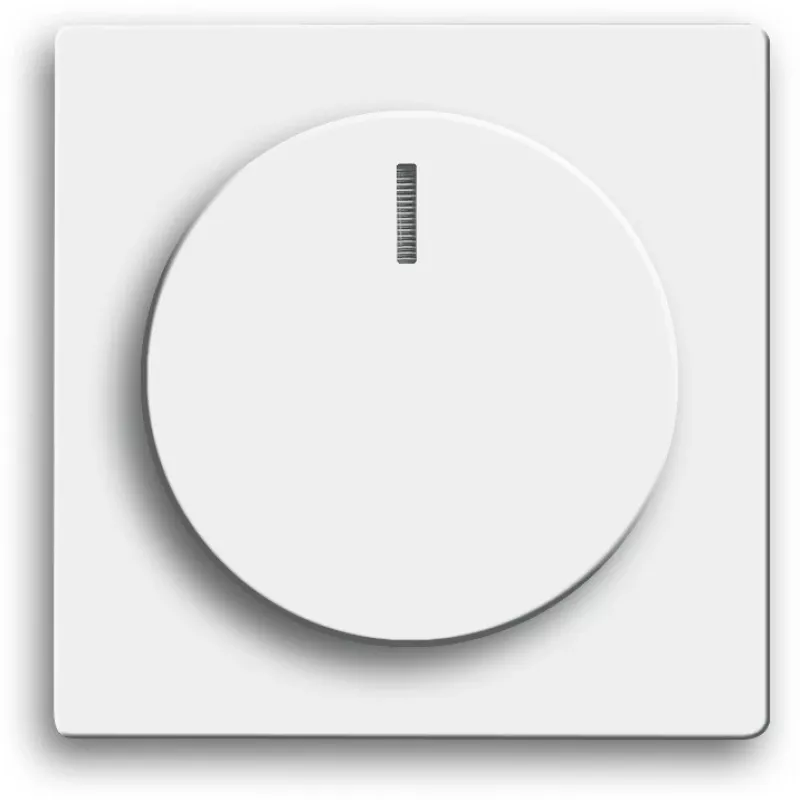 Busch-jaeger 2CKA006599A2953 tinklo įrenginys White