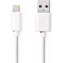 Lightning laidas Nedis CCGL39300WT10 1m 12W 2.4A Baltas