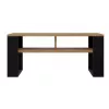 Topeshop MODERN 2P ART CZ kavos / šoninis / kampinis staliukas Kavos staliukas stačiakampė forma 2 koja (-os)