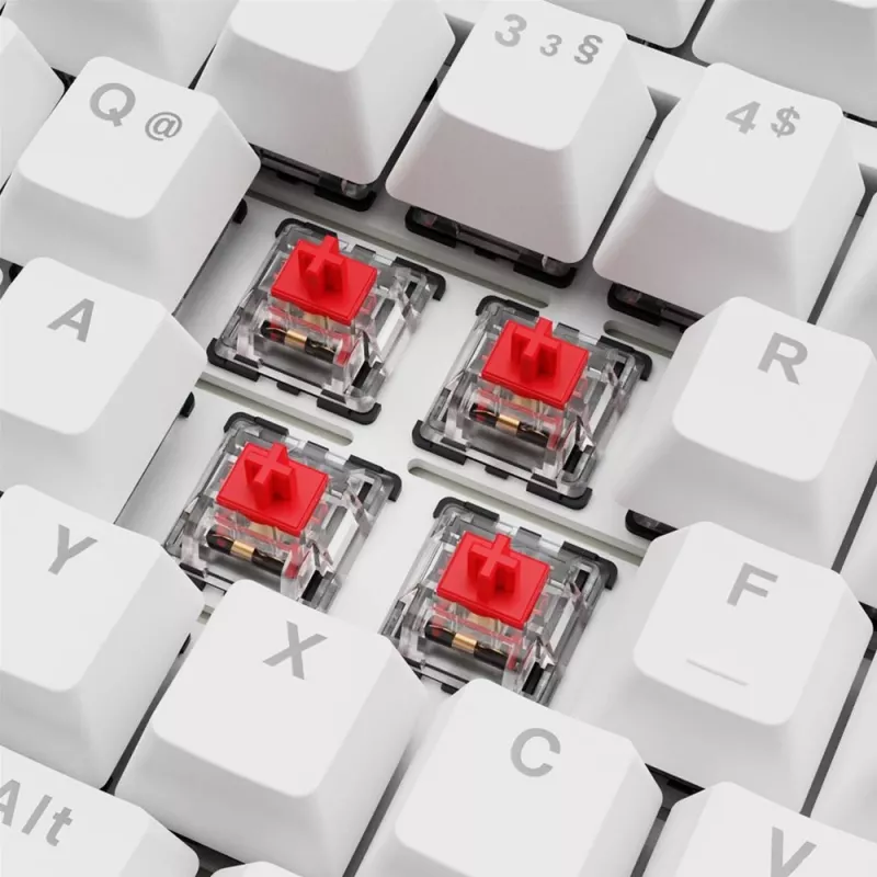 Sharkoon SGK25 75% QWERTZ USB laidinė RGB LED klaviatūra, balta