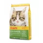 Sausas kačių maistas Josera Kitten Poultry 2 kg