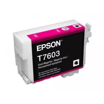 Epson C13T76034N10 rašalo kasetė 1 vnt. Originali Vivid Magenta