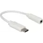 Garso kabelis DeLOCK 65913 0,14 m 3,5 mm USB baltas