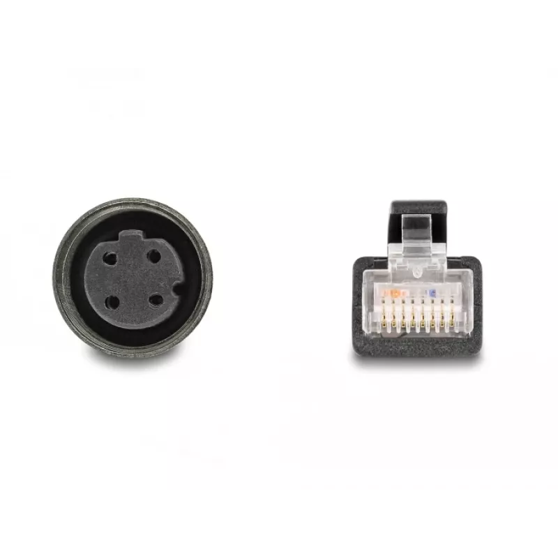 DeLOCK M12 adapterio kabelis D-koduotas 4 kontaktų moteriškas į RJ45 vyriškas 50 cm