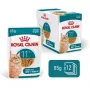 Šlapias kačių ėdalas Royal Canin FHN Ageing 11+ Gravy 12×85 g – pilnavertis drėgnas maistas vyresnio amžiaus katėms padėklėliuose