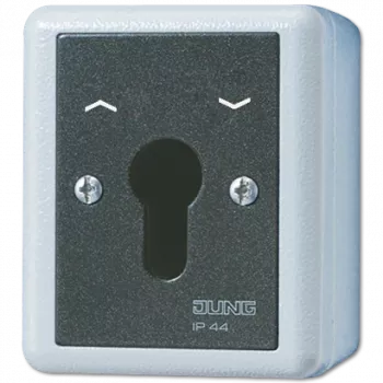 JUNG 834.28G elektrinis jungiklis su raktu, juoda - balta (834.28G)