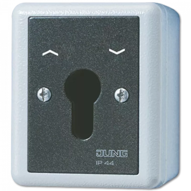 JUNG 834.28G elektrinis jungiklis su raktu, juoda - balta (834.28G)