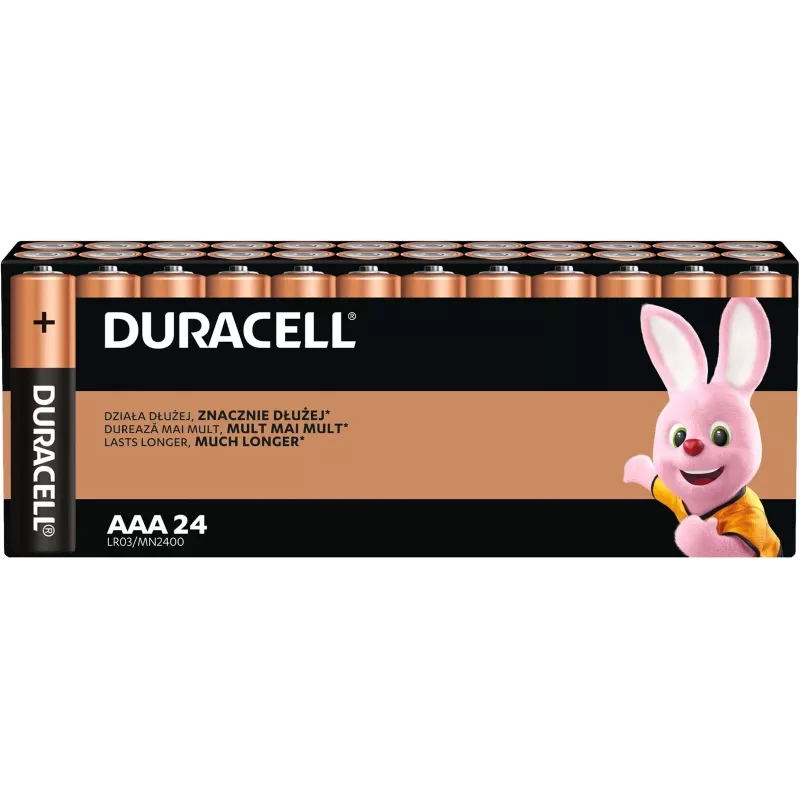 Duracell Basic AAA/LR3 baterijos – 24 šarminių elementų pakuotė (AAA/LR03)