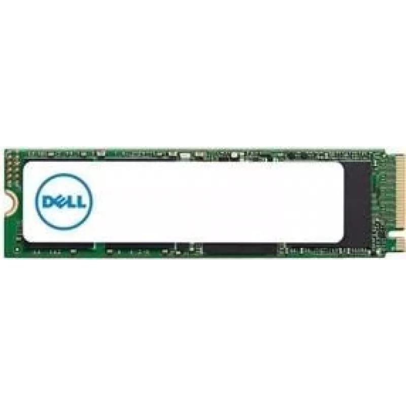 DELL SNP112P/256G vidinis kietojo kūno diskas 256 GB M.2 PCI Express NVMe