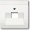 Busch Jaeger 1710-0-3889 Wall Plate/Switch Cover Balta (1710-0-3889)