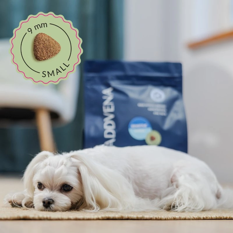 ADDVENA Power of Nature Adult Sensitive Small Lamb - sausas šunų ėdalas - 2,5kg
