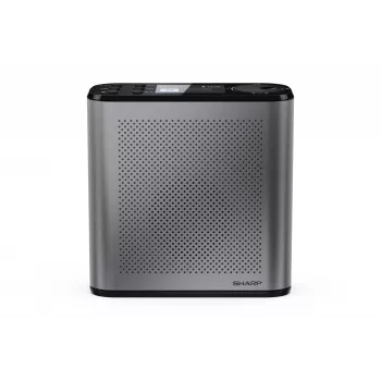 Nešiojamasis skaitmeninis radijas Sharp DR-P530 (OSAKA) su USB prievadu, Bluetooth ir FM priėmimu