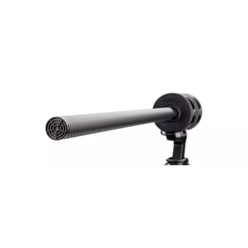 Mikrofonas RØDE NTG8