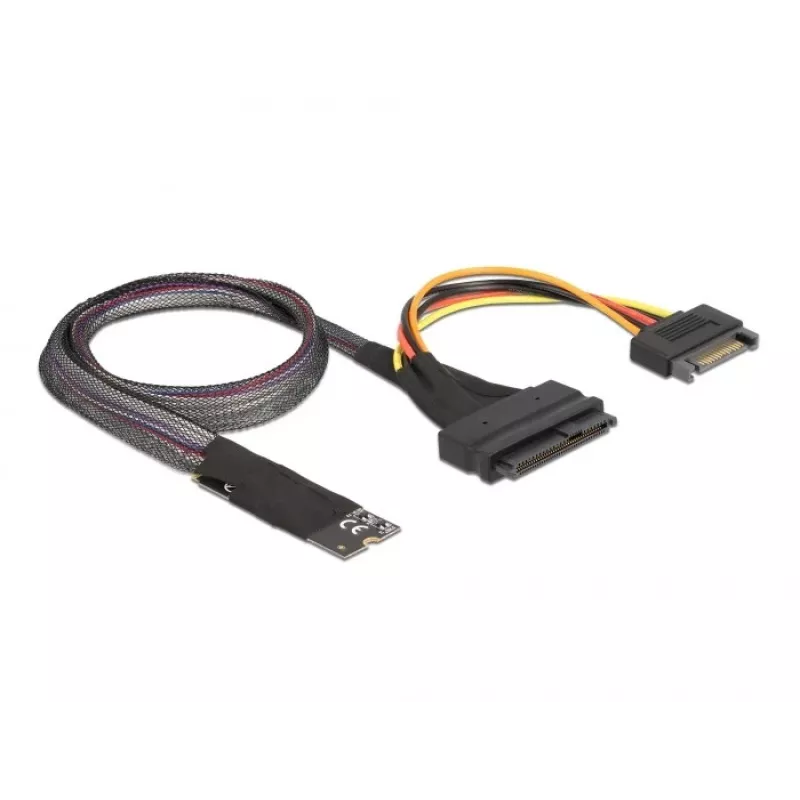 DeLOCK M.2 Key M į U.2 SFF-8639 NVMe adapteris su 50 cm kabeliu