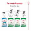 Sausas šunų ėdalas Royal Canin Mini Adult 8+ 2 kg – mažos veislės 5–10 kg, paukštiena, svorio kontrolės formulė