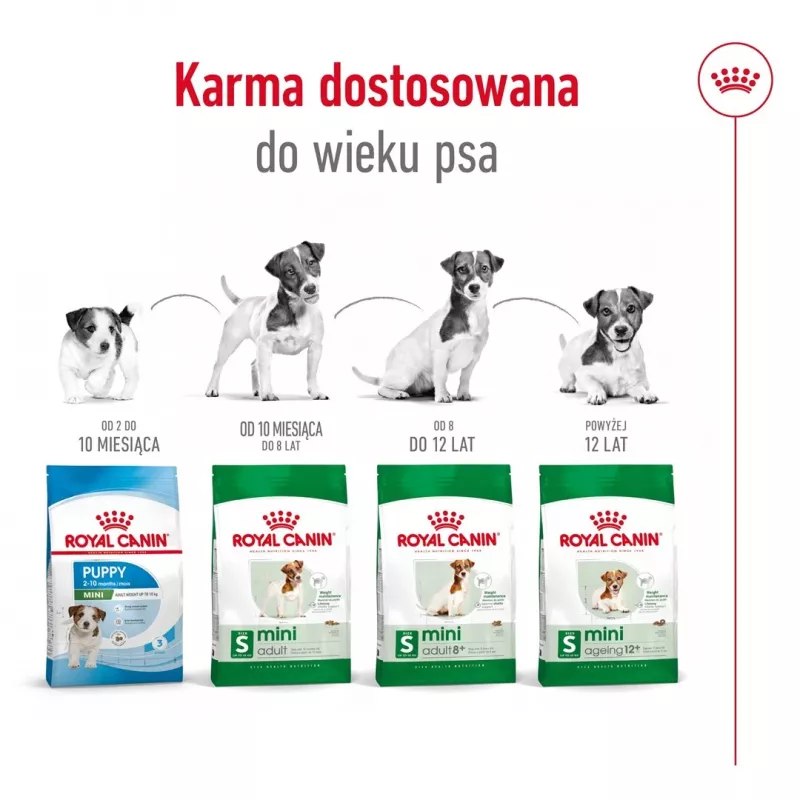 Sausas šunų ėdalas Royal Canin Mini Adult 8+ 2 kg – mažos veislės 5–10 kg, paukštiena, svorio kontrolės formulė