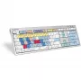 Klaviatūra Logickeyboard ALBA Universal USB AZERTY French Sidabrinė
