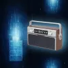 Nešiojamasis radijas MANTA RDI917PRO su Bluetooth ir USB atkūrimu