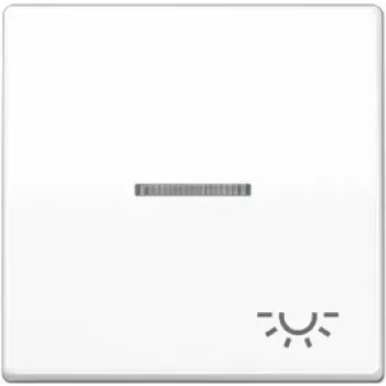 Sieninio jungiklio modulis JUNG AS 591 KO5L WW White — vieno posto, baltos spalvos