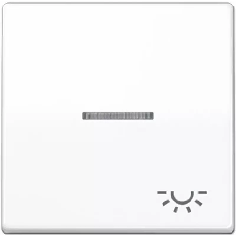 Sieninio jungiklio modulis JUNG AS 591 KO5L WW White — vieno posto, baltos spalvos