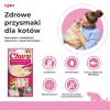 INABA Churu tunas su krevečių skoniu – kačių skanėstai – 4x14 g