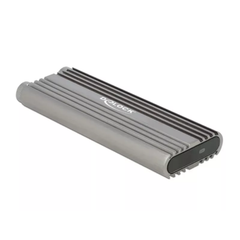 SSD korpusas DeLOCK 42001 Sidabrinis M.2