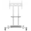 TV stovas ONKRON TS1351-W 32–65 colių televizoriams, baltas, universalus grindų stovas