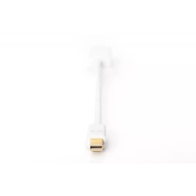 DisplayPort adapteris Digitus AK-340404-001-W