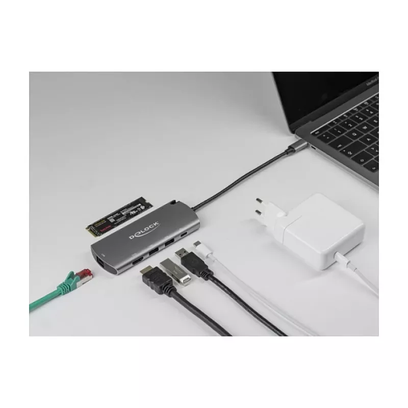 Dokų stotelė DeLOCK USB Type-C su M.2 lizdu