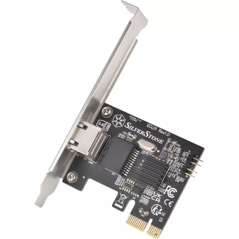 Sidabrinėstone ECL01, 2,5G tinklo plokštė, PCIe
