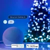 Twinkly Candies LED Kalėdų eglutės lemputės TWKC100RGB-T 6 M, žvakės formos