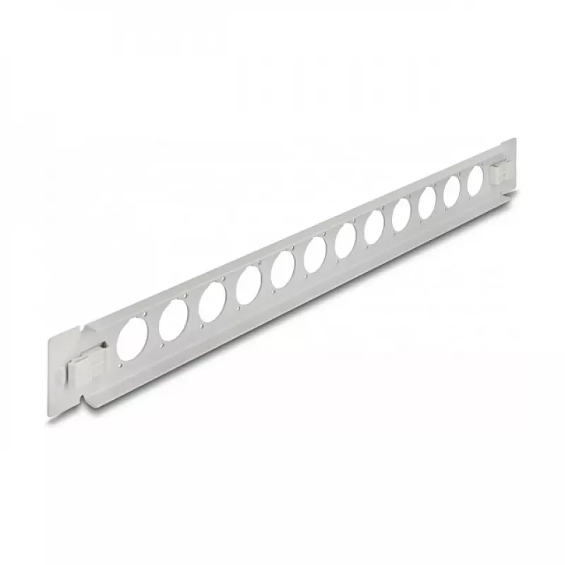Patch panel DeLOCK 19 inch D-Type 12 port bevielis montavimas pilkas