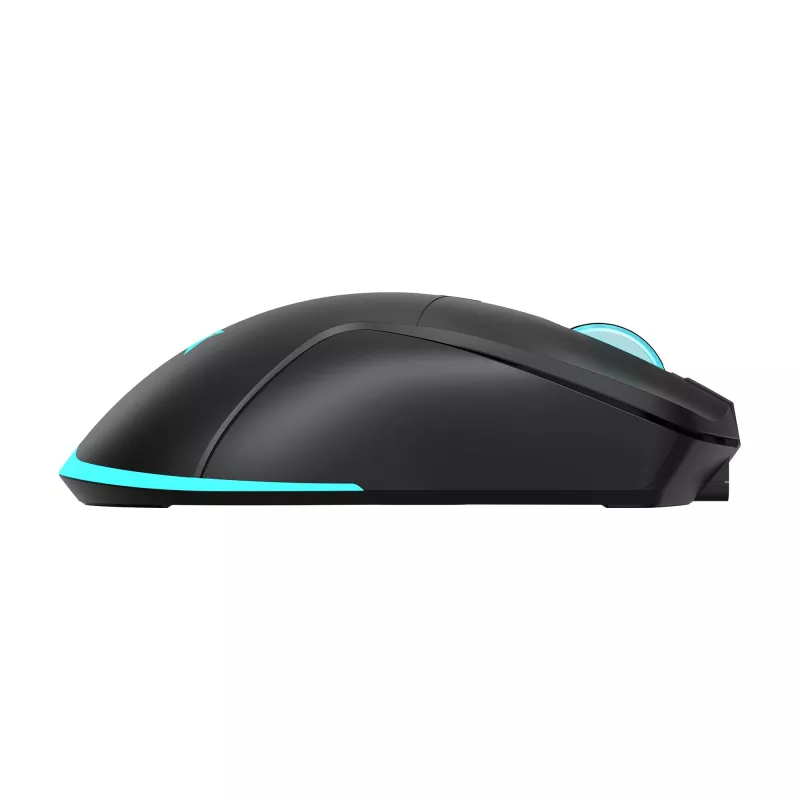 Pelė Baracuda BGM-121 Turtle juoda USB