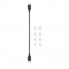 Ausinės Beats Studio Buds + ANC BT Wireless Transparent