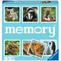 Memory Tierkinder, atminties žaidimas