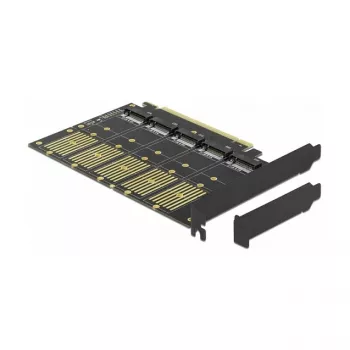 DeLOCK PCI Express x16 kortelė 5 vidiniams M.2 Key B / SATA lizdams